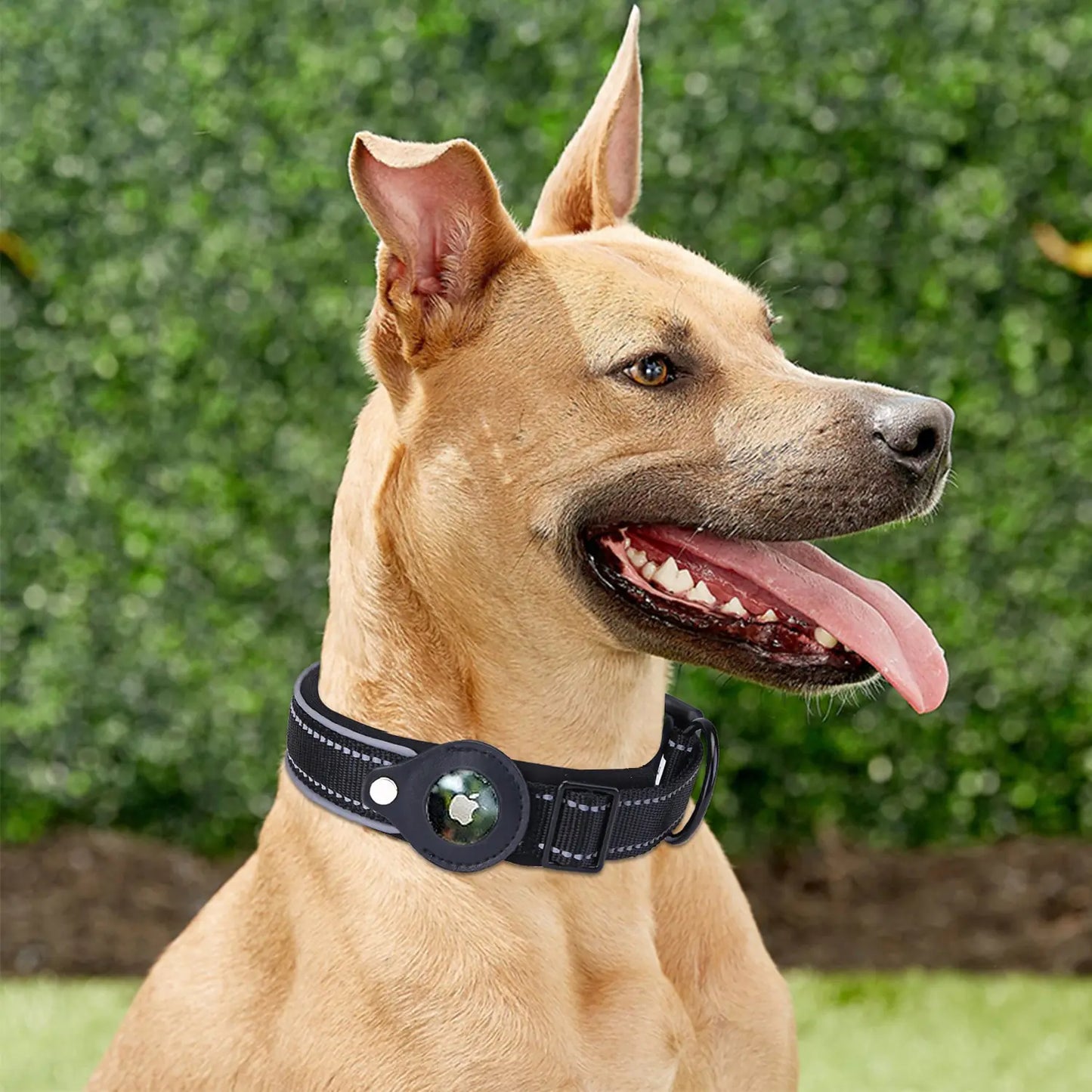 Airtag Dog Collar